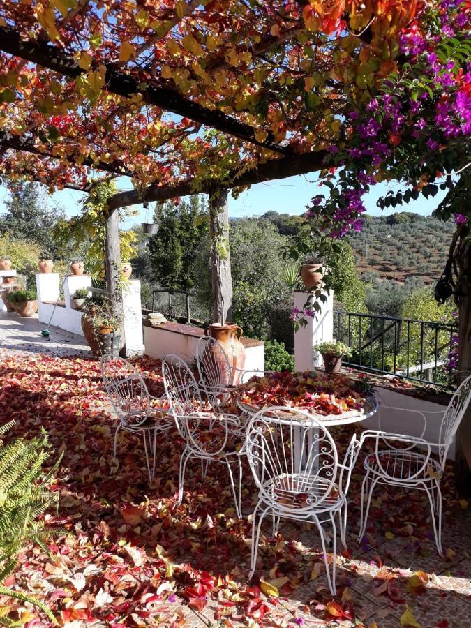 Villa Botero Constantina Bagian luar foto
